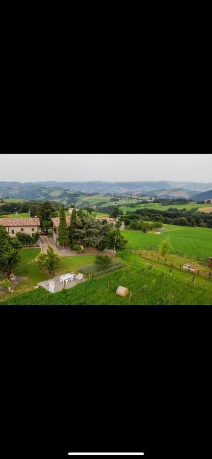 La Baita Nei Boschi Villa Serramazzoni Buitenkant foto