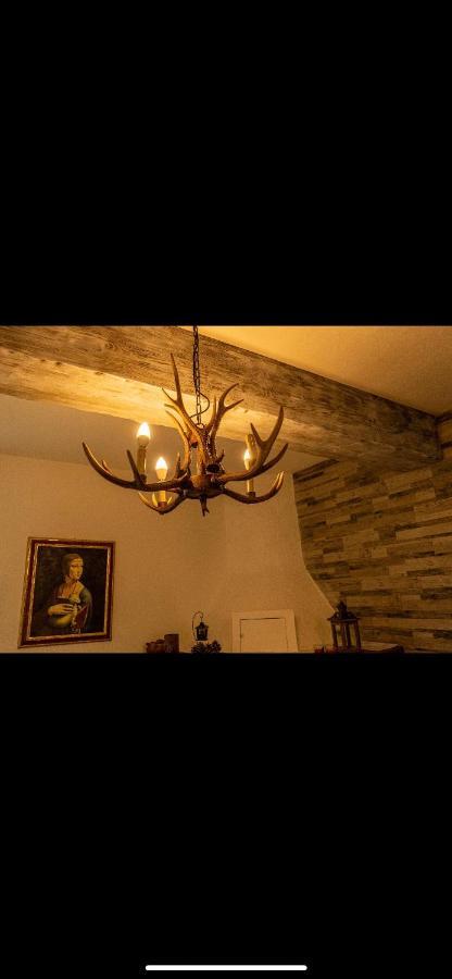 La Baita Nei Boschi Villa Serramazzoni Buitenkant foto