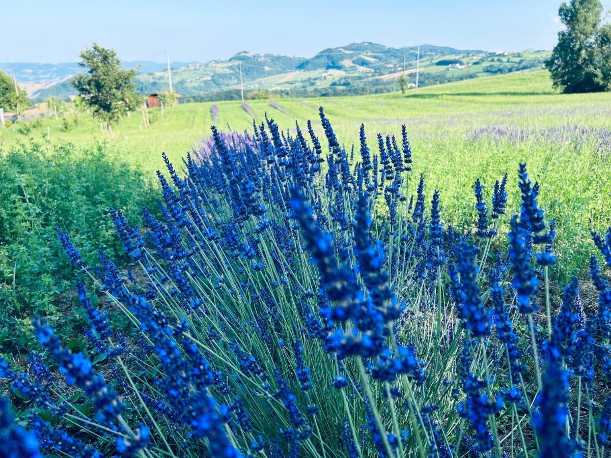 La Baita Nei Boschi Villa Serramazzoni Buitenkant foto