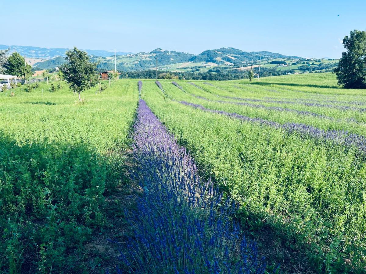 La Baita Nei Boschi Villa Serramazzoni Buitenkant foto