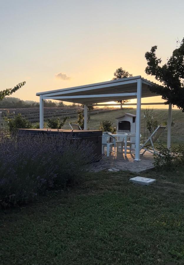 La Baita Nei Boschi Villa Serramazzoni Buitenkant foto