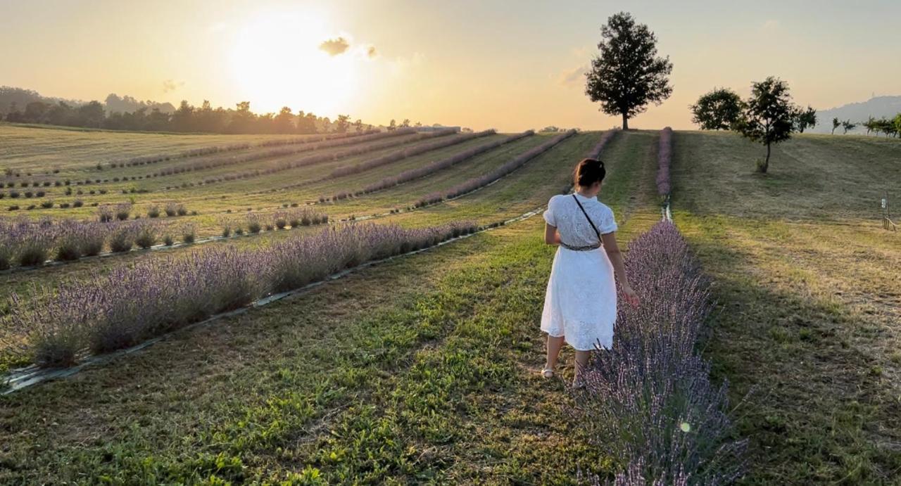 La Baita Nei Boschi Villa Serramazzoni Buitenkant foto
