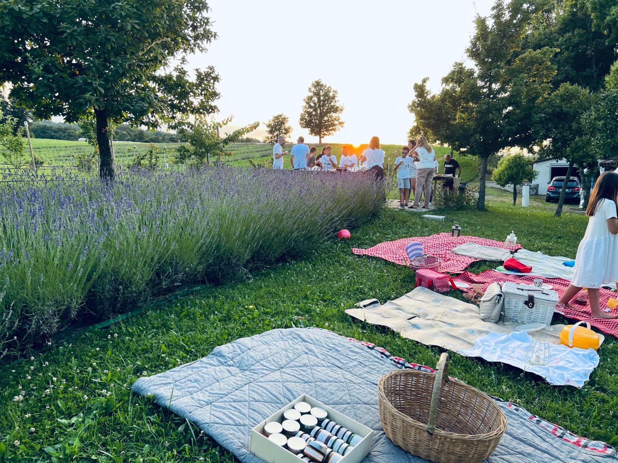 La Baita Nei Boschi Villa Serramazzoni Buitenkant foto