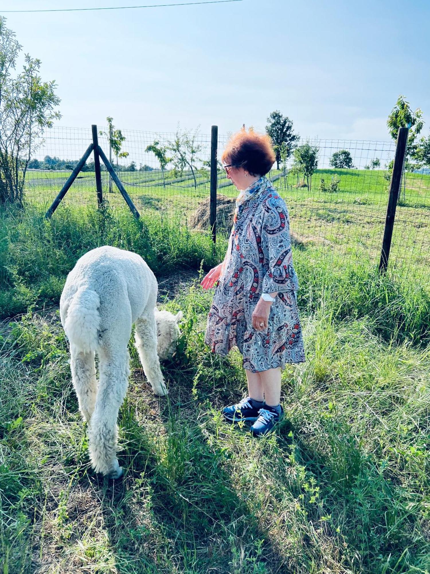 La Baita Nei Boschi Villa Serramazzoni Buitenkant foto