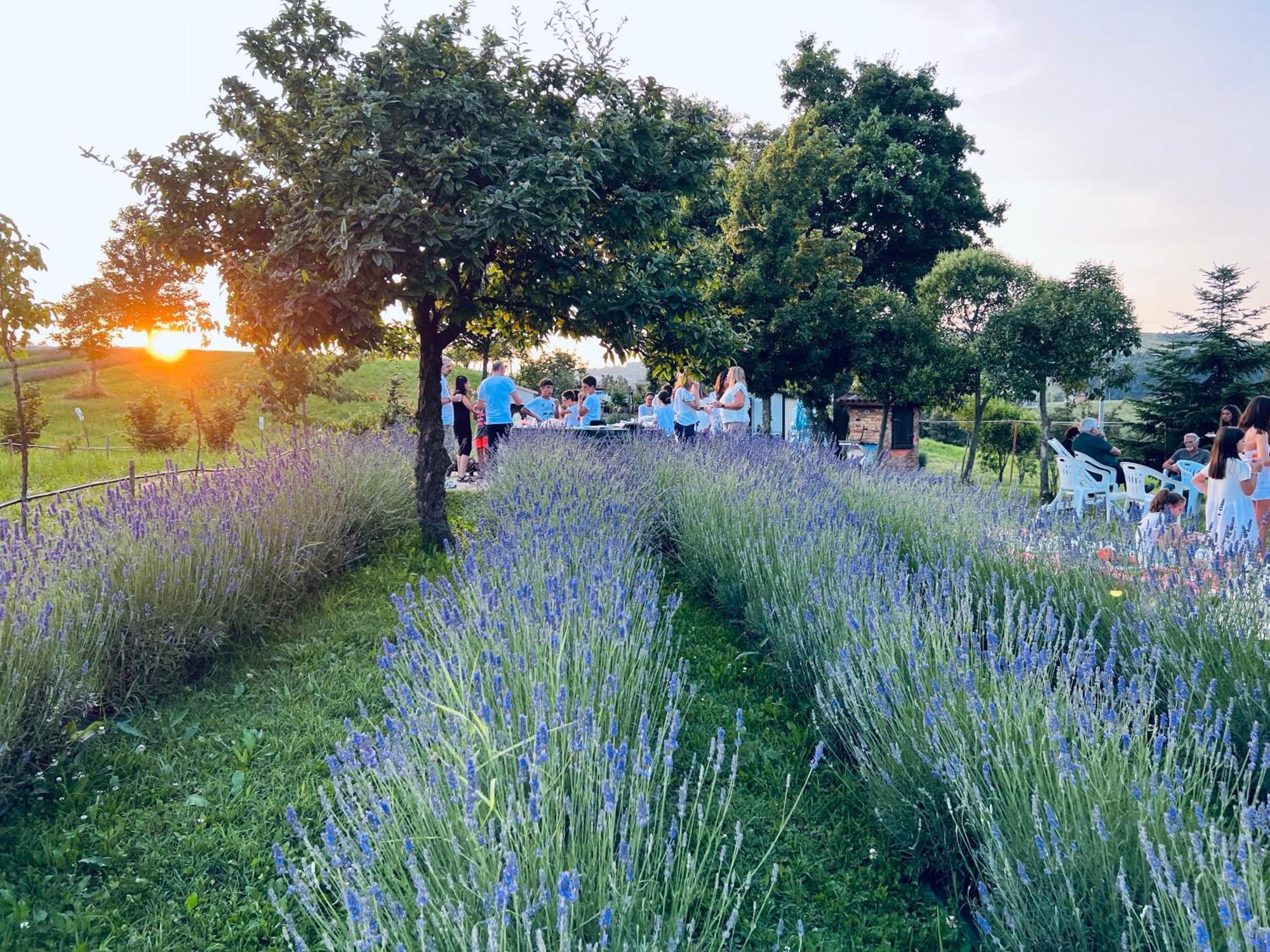 La Baita Nei Boschi Villa Serramazzoni Buitenkant foto